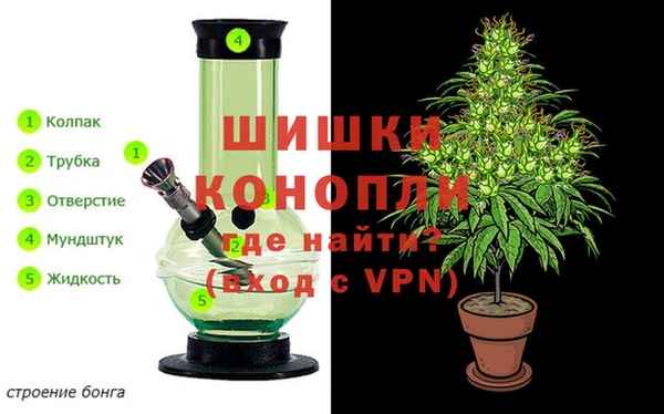 дживик Медвежьегорск