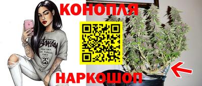 стафф Аргун