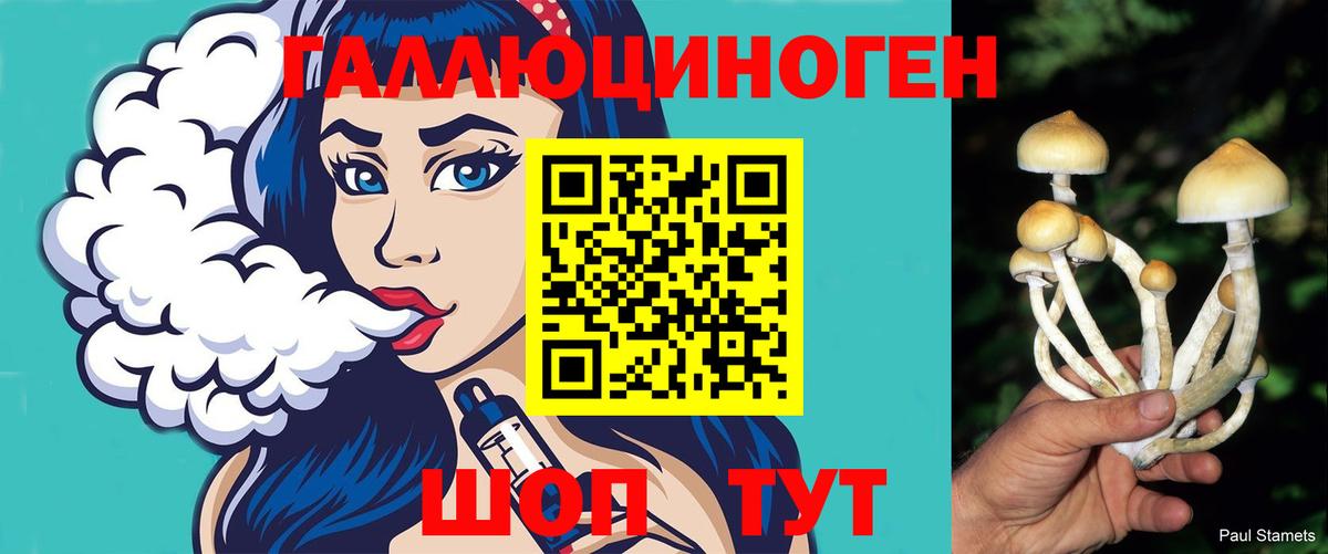Галлюциногенные грибы прущие грибы  купить закладку  Брянск  Галлюциногенные грибы прущие грибы 